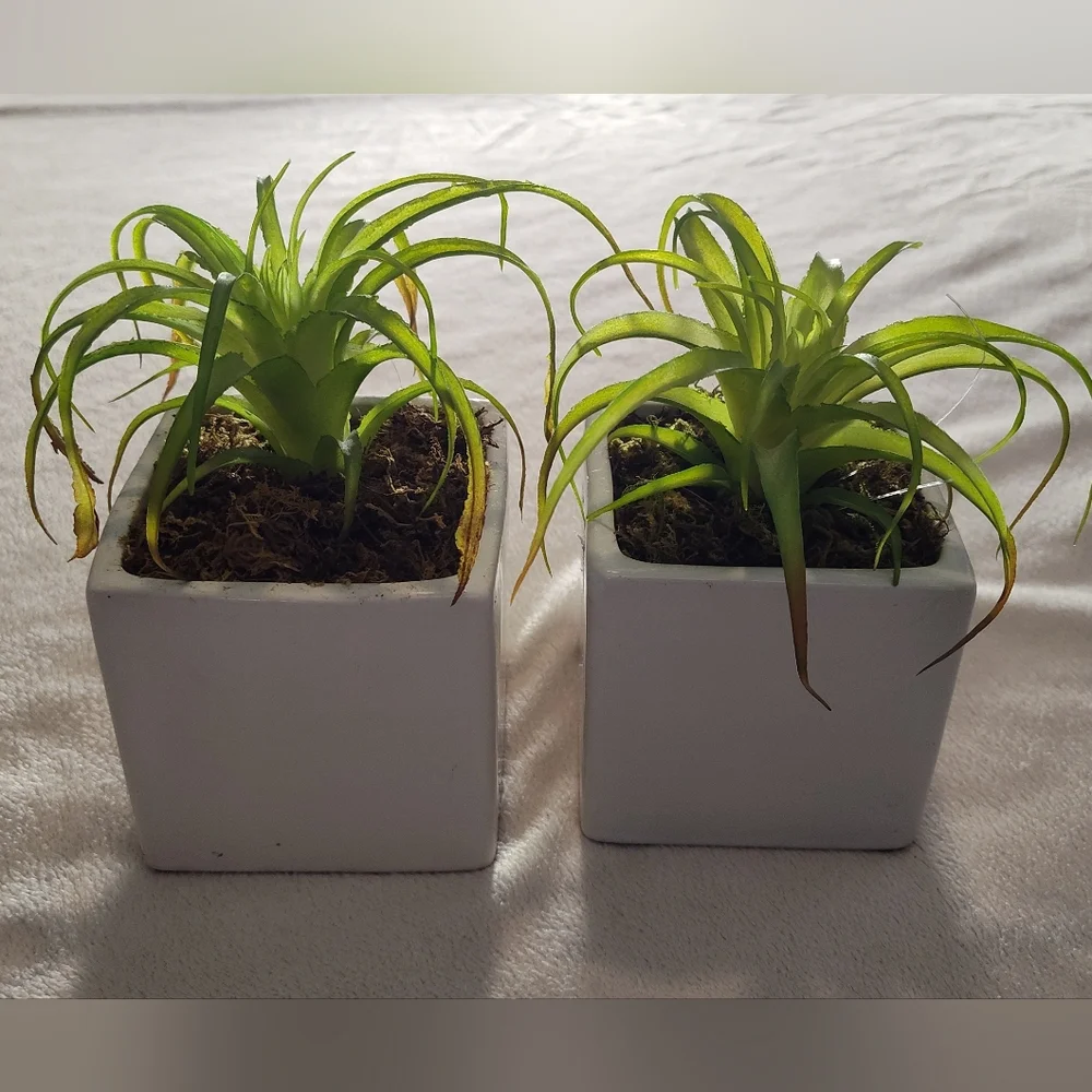 2 Green Faux Succulent in White Planter Set